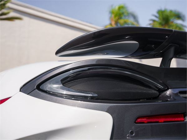 2020 McLaren 600LT in Silica White - exterior photo 8